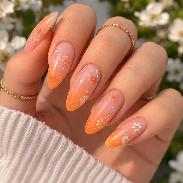 sunset collection - Image 4